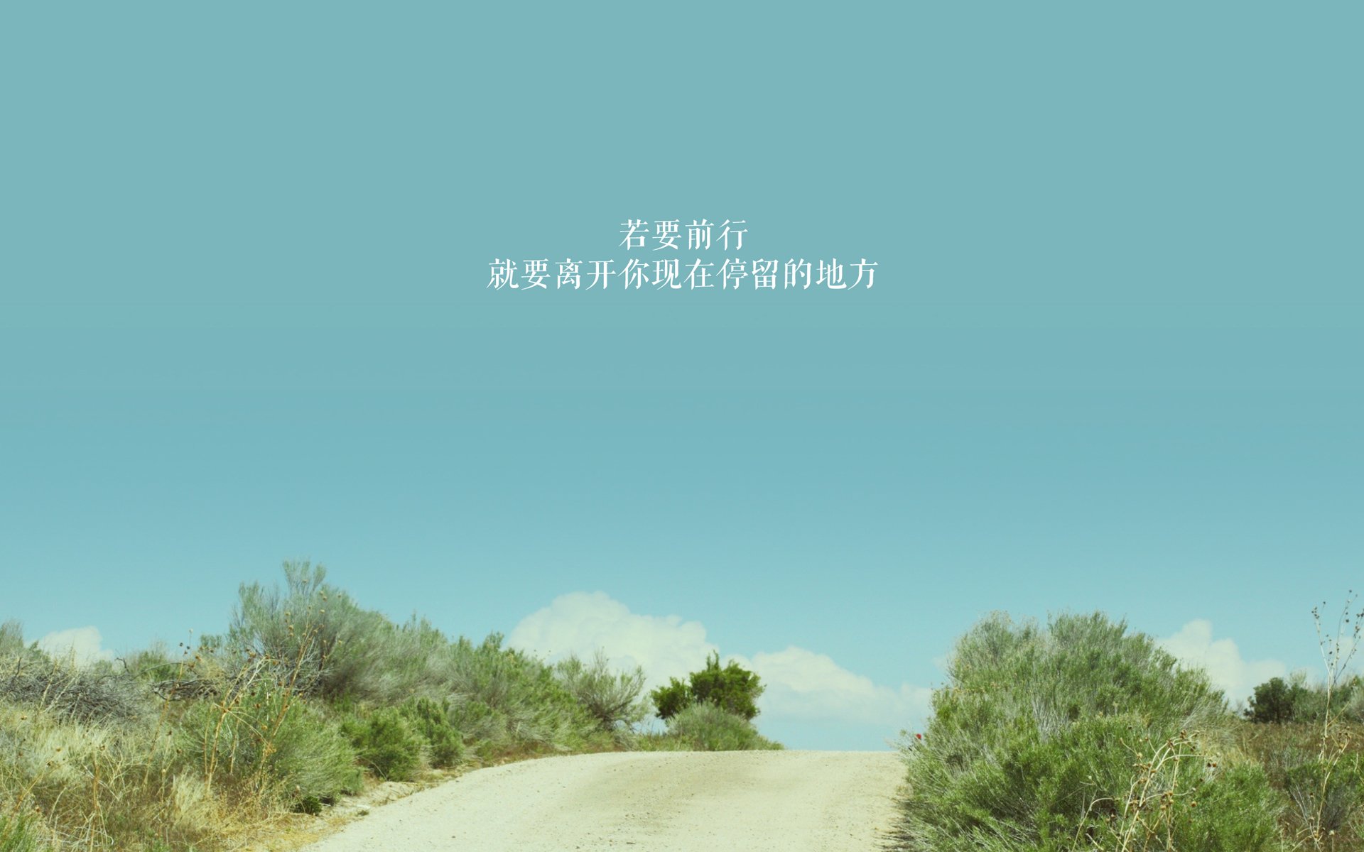 季后赛展望:哪支球队最有可能夺冠?,季后赛展望_哪支球队最有可能夺冠呢