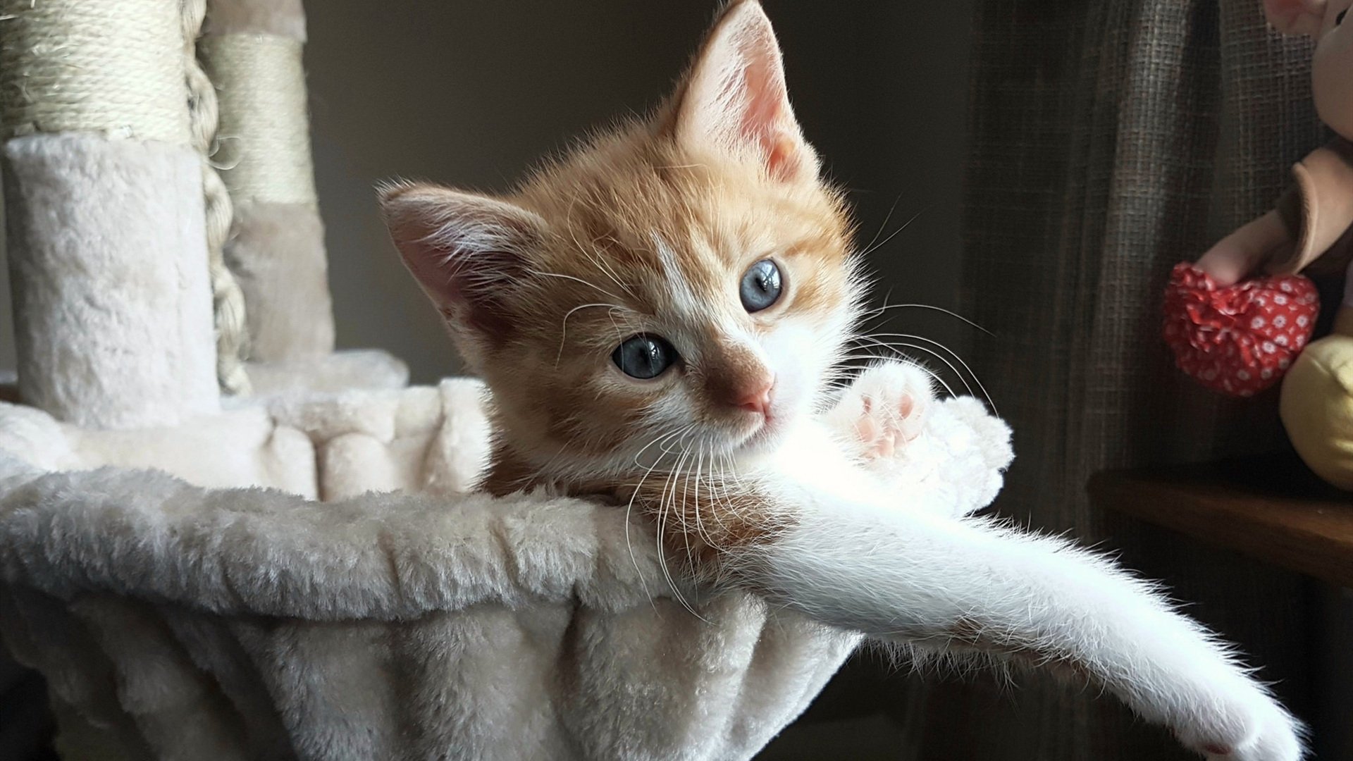 巴萨控球掌控全场,逐步蚕食对手,巴萨控球率达81%